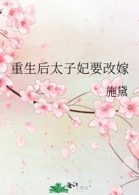 重生后太子妃要改嫁